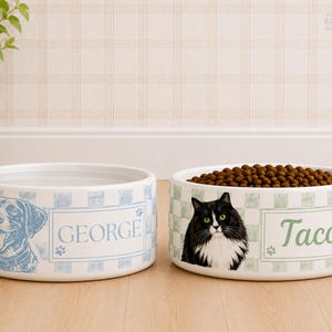 May include: Two ceramic pet bowls. One bowl features a blue dog illustration, the name "George", and a blue checkered pattern. The other bowl has a black and white cat illustration, the name "Taco", and a green checkered pattern.