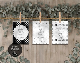 Baby's First Year Milestone Cards - Instant Download Printable - Chrome of Mono