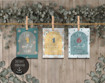 Printable baby monthly milestone cards for digital download - Touch of boho