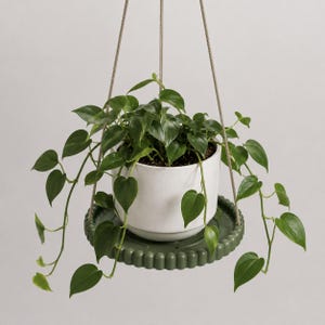 Modern Hanging Plant Tray – Adjustable Rope Planter Hanger – Minimalist Shelf for Indoor Plant Pots
