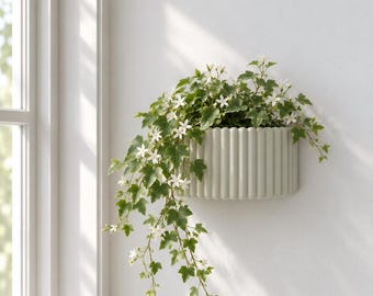 Wall Mounted Planter, Modern Wall Pot, Vertical Garden, Living Wall Decor, Herb Holder, Succulent Planter