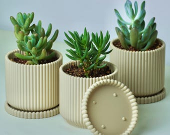 Minimalist Ribbed Succulent Planter – Modern Small Plant Pot with Drain Hole & Tray – Desk Decor