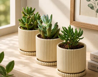 Minimalistische geribbelde vetplanter – moderne kleine bloempot met afvoergat en bakje – bureaudecor