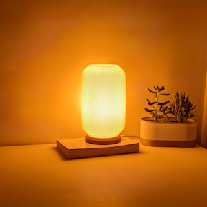 May include: A white table lamp with a ribbed shade and a warm yellow glow. The lamp is sitting on a book on a table next to a potted succulent plant.