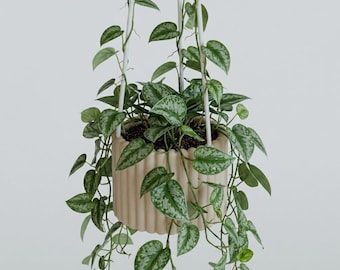 Hanging Planter, Indoor Plant Pot, Modern Hanging Basket, 3D Printed, Removable Drip Tray, Scandinavian Home Decor