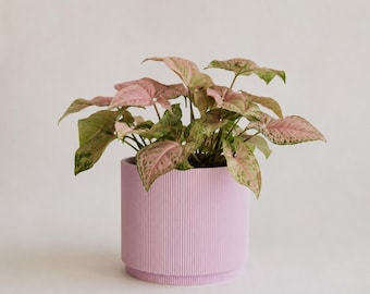 Modern Plant Pot, Indoor Planter with Drip Tray, Minimal Flower Pot, Contemporary Plant Container, Home Decor, Succulent Herb Planter
