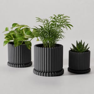 May include: Three dark charcoal gray cylindrical planters with a vertical ribbed texture and a beaded base rim. Each planter holds a different green houseplant, including a pothos, a parlor palm, and a small succulent, arranged in a row.
