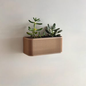 Op de afbeelding: Een bruine wandbevestigde plantenbak met twee kleine vetplanten. De plantenbak heeft een geribbelde textuur.