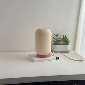 May include: A cream-colored table lamp with a ribbed design and a pink base sits on a book titled "Think & Grow Rich" by Napoleon Hill. The lamp is on a white desk with a potted succulent plant in the background.