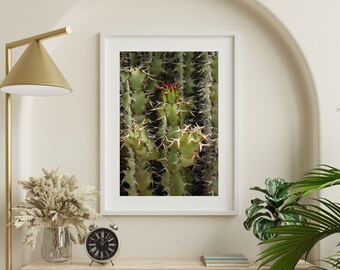 Opera d'arte STAMPABILE Cactus, stampa scaricabile, arte della parete, arte stampabile, arredamento del deserto, arte della parete STAMPABILE, opera d'arte digitale