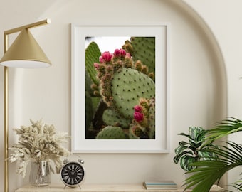 Opera d'arte STAMPABILE Magenta Bloom, stampa scaricabile Cactus, stampa digitale, arte stampabile, arredamento del deserto, arte della parete STAMPABILE, opera d'arte digitale
