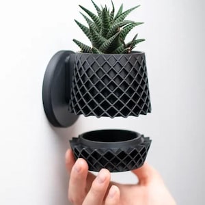 Lattice Planter | Wall Planter with Twist-Off Drip Tray
