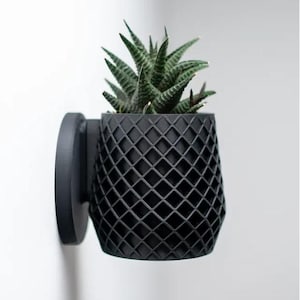 Lattice Planter | Wall Planter with Twist-Off Drip Tray
