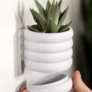 May include: A white, textured, ceramic planter with a segmented design, holding a green succulent plant. The planter is designed to be mounted on a wall. The bottom section of the planter is detached, held by a hand.