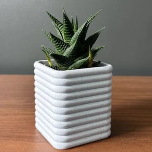 May include: A small, white, square planter with a textured, ribbed design. The planter is filled with a green succulent plant.