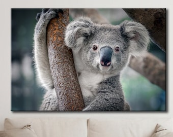 Koala Leinwanddruck, Süßes Tier, Kunst, Home Decor