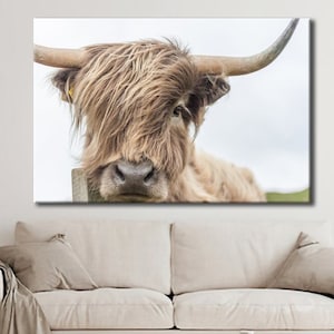 Highland Cow Wall Art, Highland Cow Canvas Design, Highland Cow Canvas Art, Highland Cow Home Decor, Highland Cow Canvas Print Gift