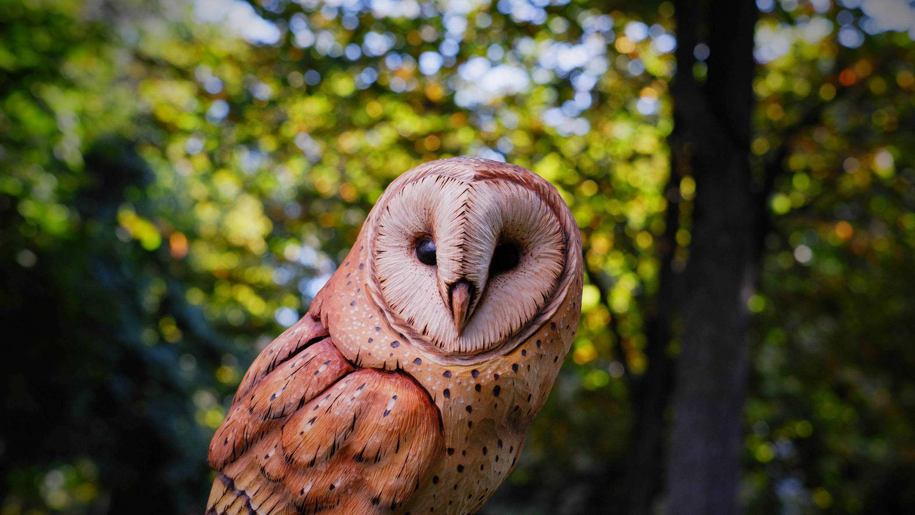 Hand Carved Wooden Barn Owl Figurine: Magical Home Decor