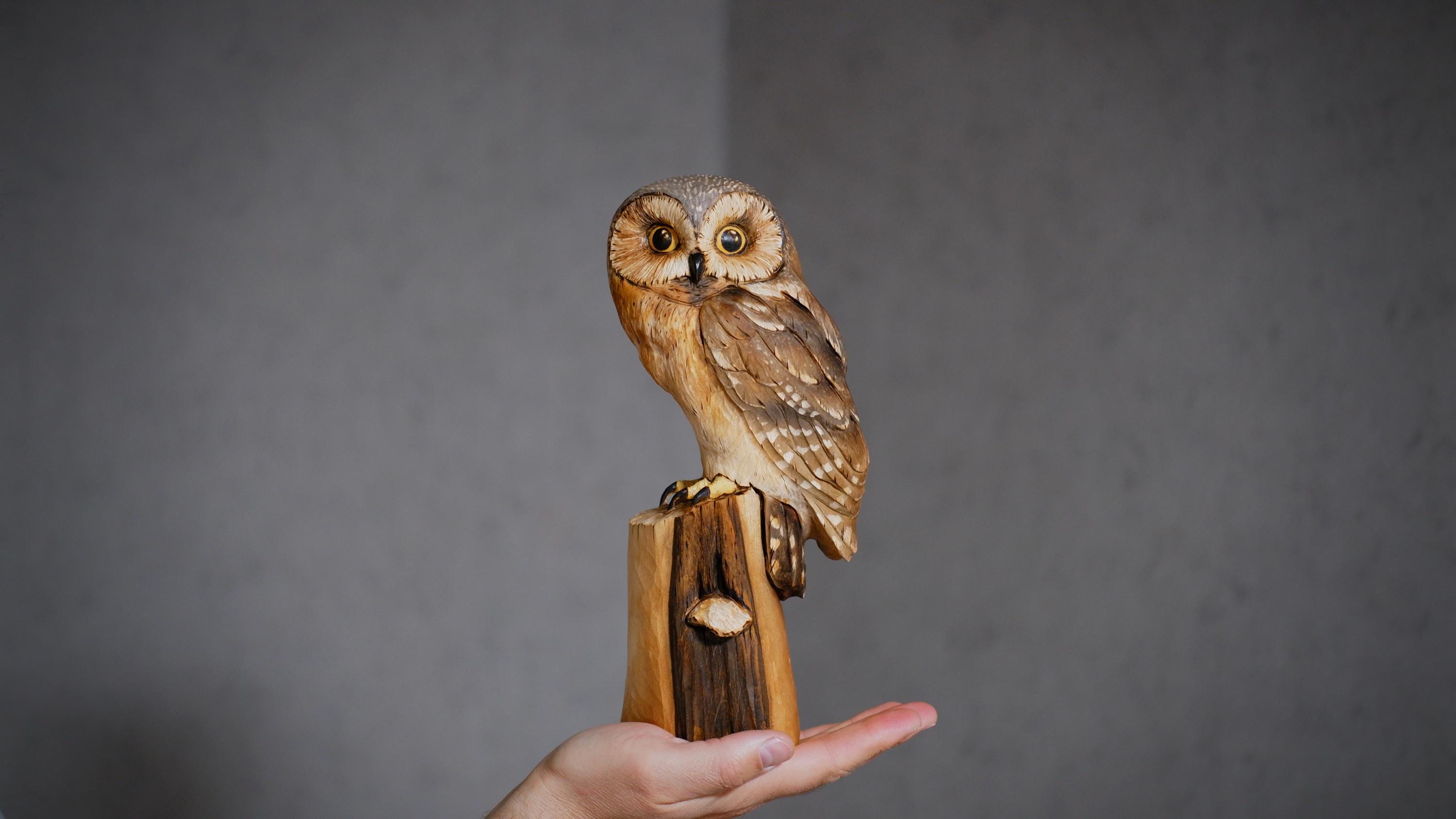 Minimalist Home Accent Carved Wooden Pygmy Owl Sculpture Idea: Swamp Alder Wood, Home Decor