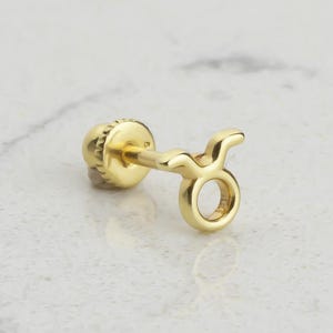 14k Solid Gold Sternzeichen Helix Piercing: 18G Astrologie Ohrring