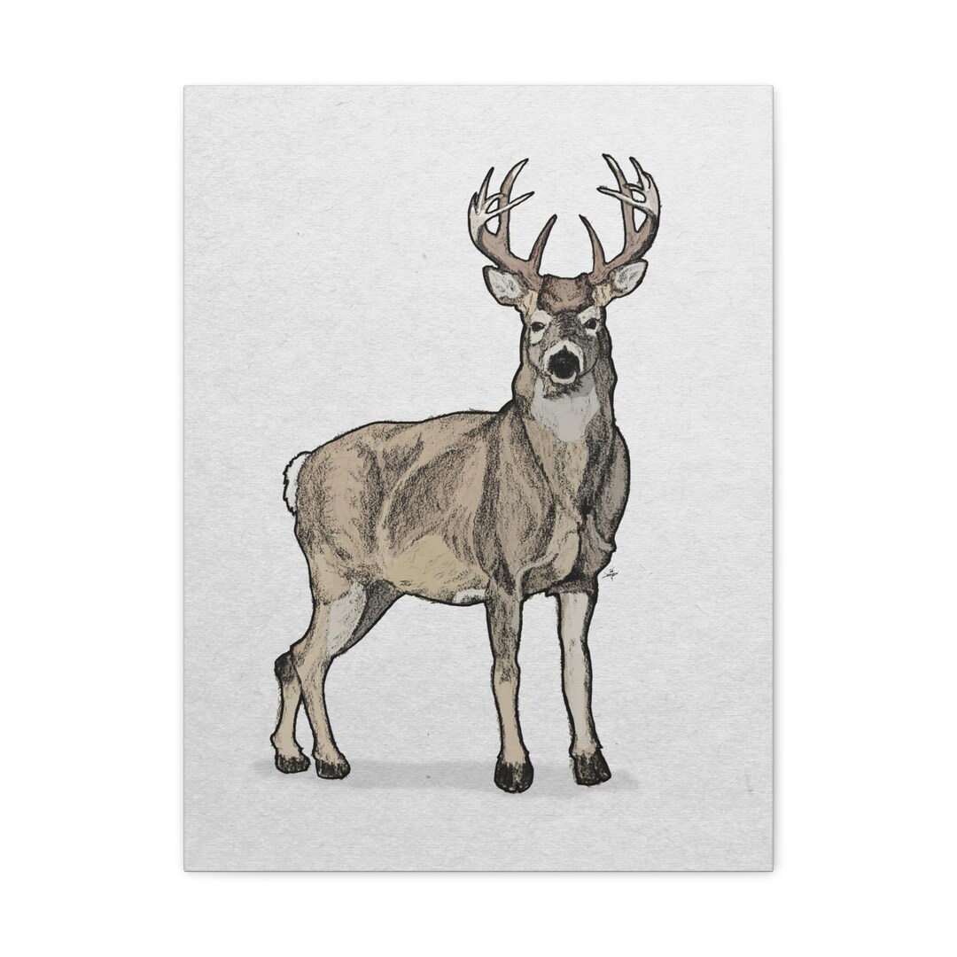 Whitetailed Deer Buck Drawing Printed on Canvas in Multiple Sizes
