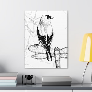 Goldfinch Drawing Printed on Canvas in multiple sizes, birds drawing on canvas