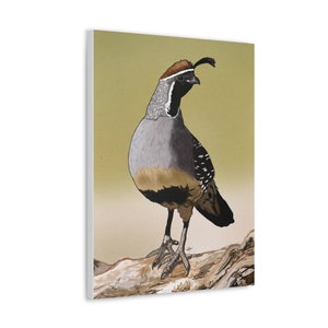 Quail Drawing Printed on Canvas in multiple sizes