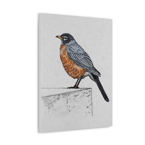 Robin Drawing Printed on Canvas in multiple sizes