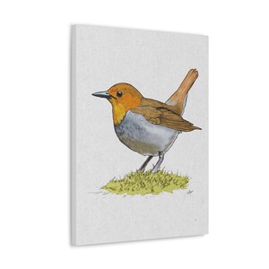 Japanese Robin Printed on Canvas in multiple sizes