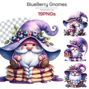 Summer Blueberry Fruits Gnomes and Cute Fruity Clipart - Perfect for Seasonal Crafts and Gnome Enthusiasts, Sublimation summer gift