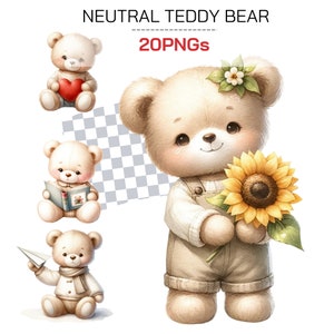Brązowy Miś Teddy Niezależny Płciowo Słodki Baby Shower Clipart Collection | Boho Noworodek Grafiki Zaproszenia, Wystrój Pokoju Dziecięcego i Nie tylko