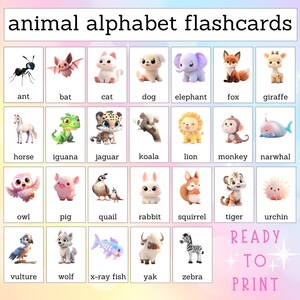 Tarjetas flash del alfabeto imprimibles / Tarjetas del alfabeto con temática de la naturaleza / Tarjetas educativas / Alfabeto animal / Tarjetas flash del alfabeto preescolar