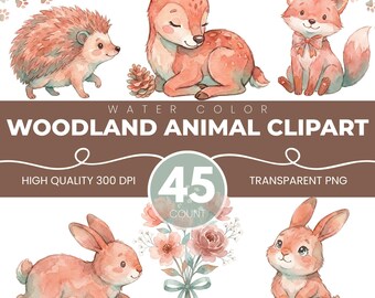 Pink Woodland Nursery Clipart, DIY Personalizable Baby Shower PNG, Woodland Animals with Blank Name Plaques