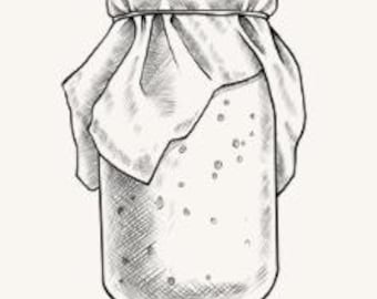 Sourdough Instructional Guide