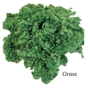 Wool Nepps Grass