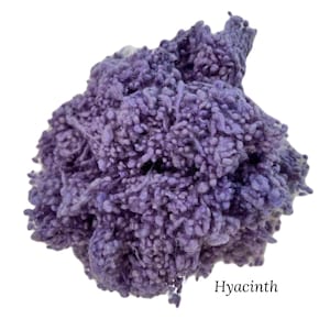 Wool Nepps Hyacinth