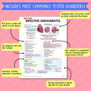 Cardiac Nursing Notes Study Bundle image 3