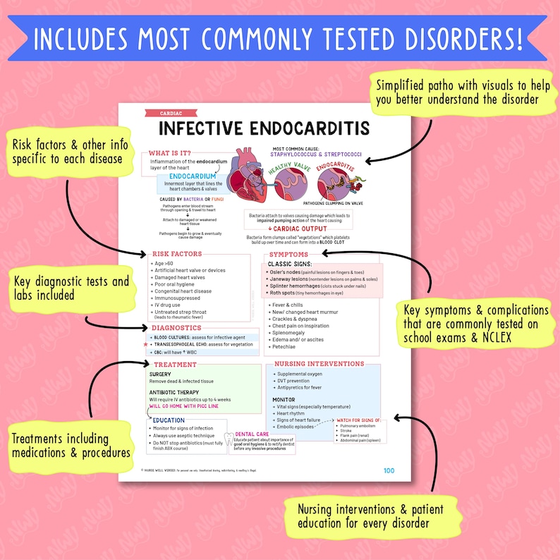 Cardiac Nursing Notes Study Bundle image 3