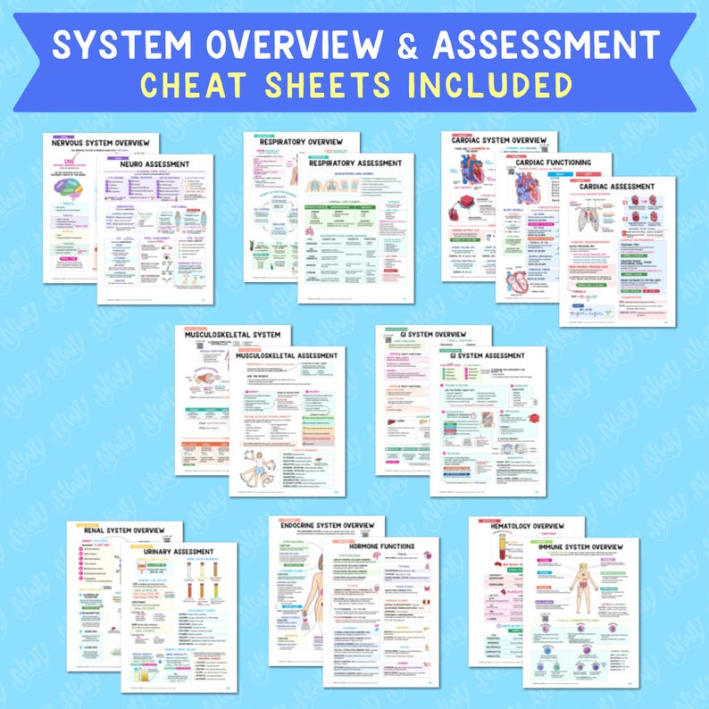 Med-surg Nursing Notes Study Guide Bundle (digital Download) - Etsy