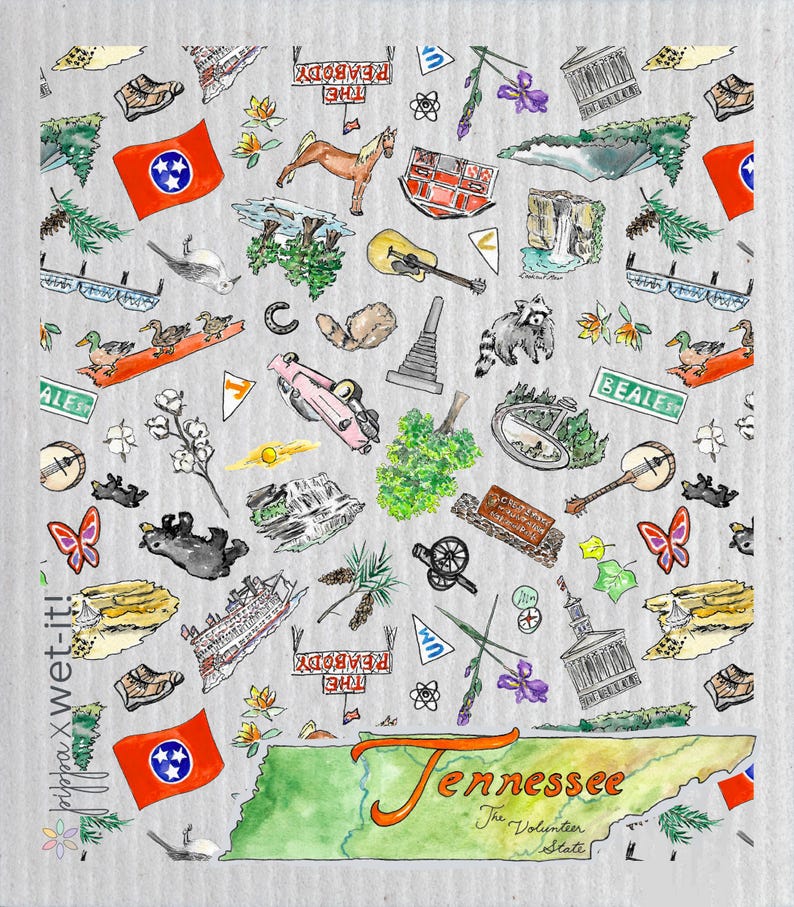 Pippa Tennessee Swedish Dishcloth - Thumbnail 3