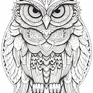 Printable 50 + Owl Mandala Adult Coloring Pages - Etsy UK