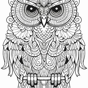 Printable 50 + Owl Mandala Adult Coloring Pages - Etsy UK