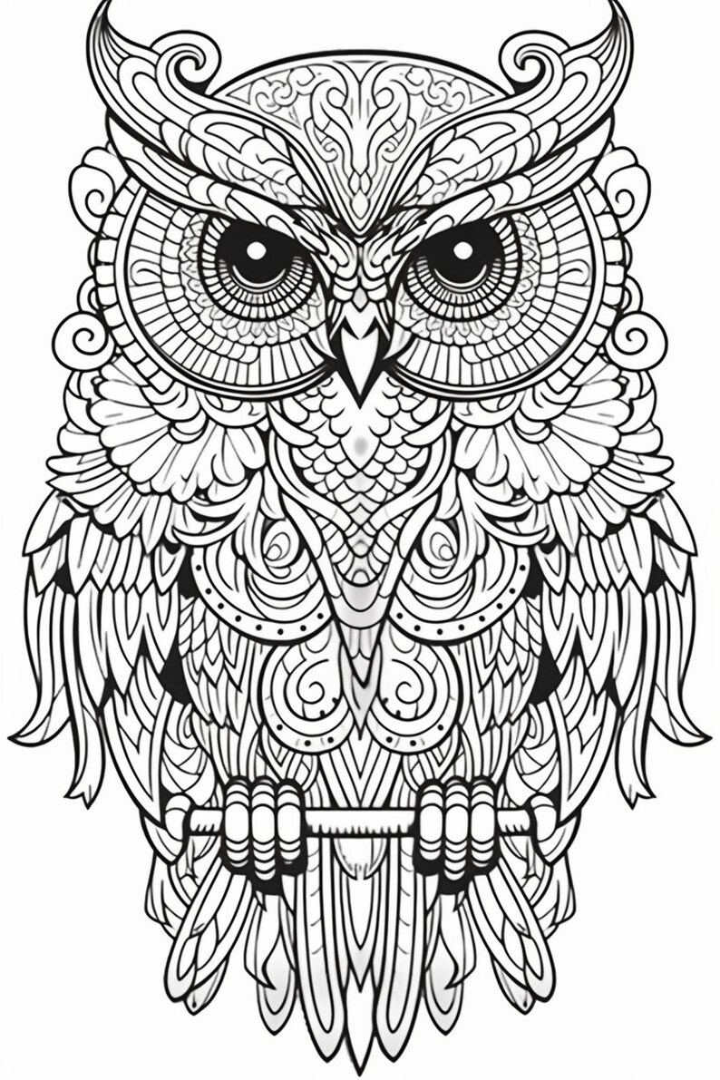 Printable 50 + Owl Mandala Adult Coloring Pages - Etsy UK