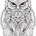 Printable 50 + Owl Mandala Adult Coloring Pages - Etsy UK
