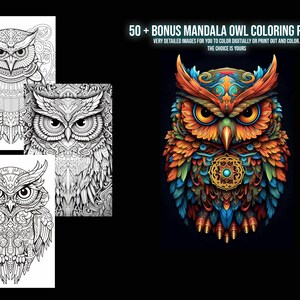 May include: 50+ Bonus Mandala Owl Coloring Pages. A collection of detailed black and white owl illustrations with intricate patterns for coloring.