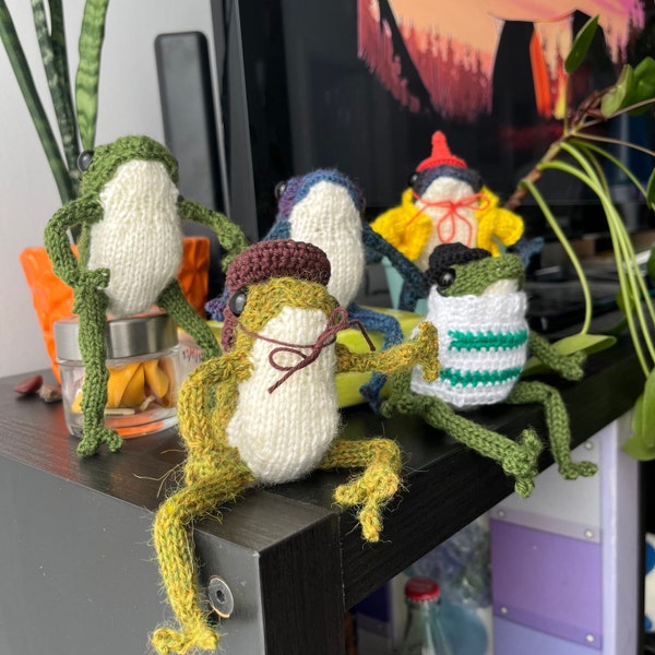 Customizable and posable knit frog and sweater