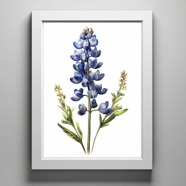 Texas Bluebonnet, digital drawing of a native Texas wildflowers | digital download