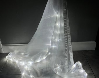 Light of the World Led Flags