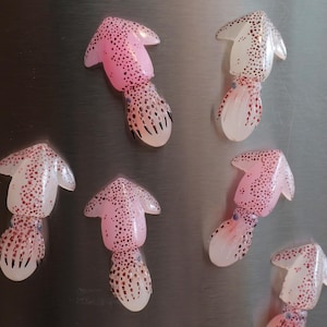 Imán de calamar bebé, imán de calamar bebé, imán de nevera de la colección del océano - Kraken Cuties - Segunda ola