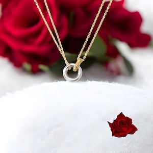 Interlocking Ring Necklace, Double Ring Necklace, Minimalist Necklace, Dainty Necklace, Gold Necklace, Ring Necklace, Minimalist, Handmade